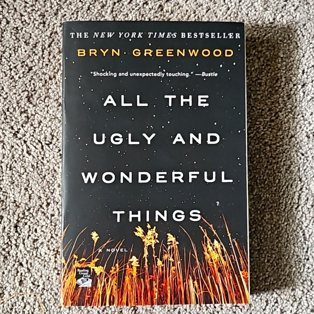 All the Ugly and Wonderful Things  (book)